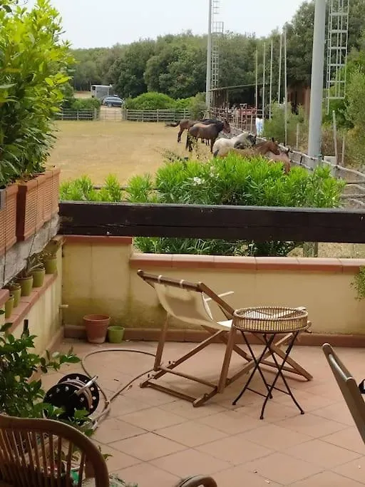 La Mia Oasi Maremmana Apartment Capalbio